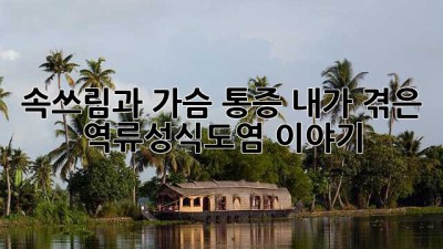 속쓰림과 가슴 통증? 내가 겪은 역류성식도염 이야기