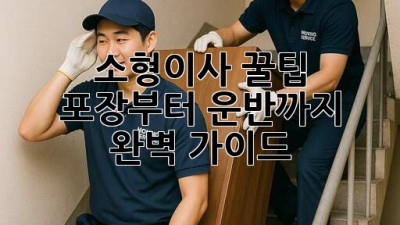 소형이사 꿀팁🍯: 포장부터 운반까지 완벽 가이드!