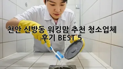 천안 신방동 워킹맘 추천 청소업체 후기 BEST 5