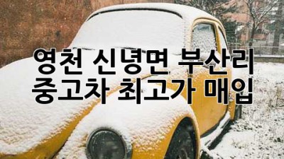영천 신녕면 부산리 중고차 최고가 매입!