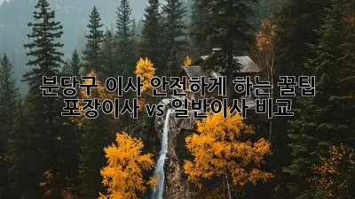 분당구 이사 안전하게 하는 꿀팁! 포장이사 vs 일반이사 비교